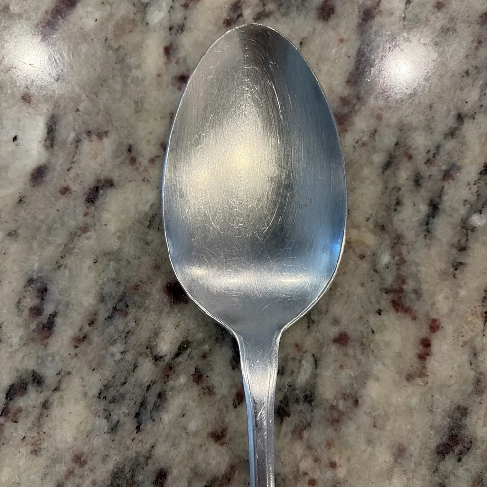 Set of 2 Oneida 1881 Rogers Twilight Burnished Stainless Serving Spoons 8.25